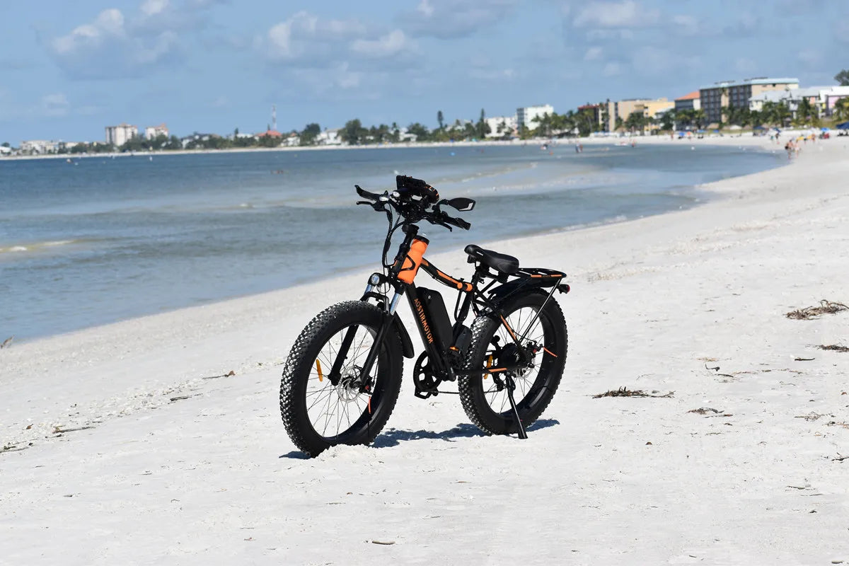 AOSTIRMOTOR S07-B 48V 13Ah Lithium Battery 750W Motor Ebike Electric Mountain Bicycle