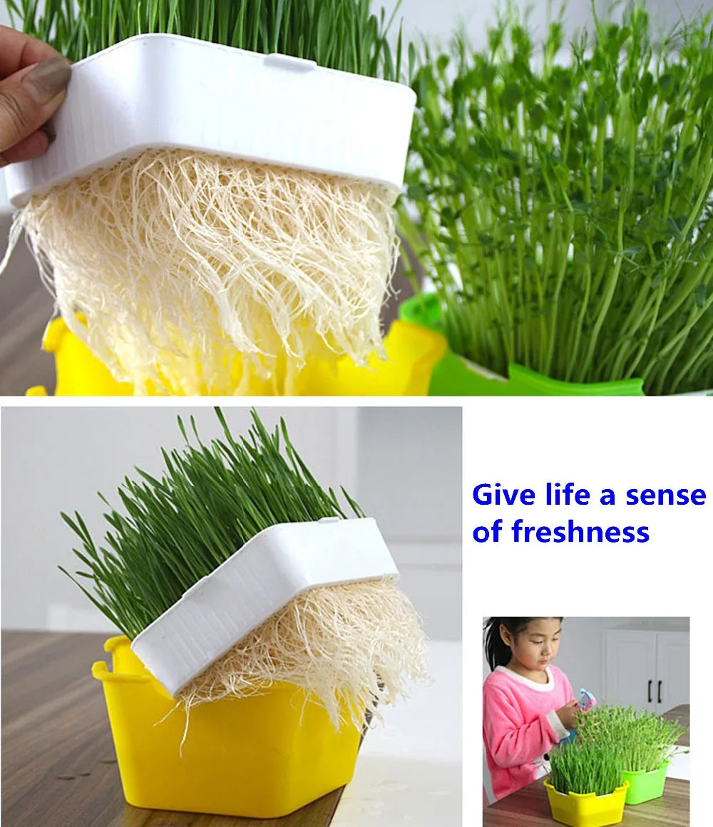 Sprout Planting Pot Bean Sprouter Seedling Tray Wheat Grass Growing Germination Healthy Sprouts for Salads Home Garden Supplies