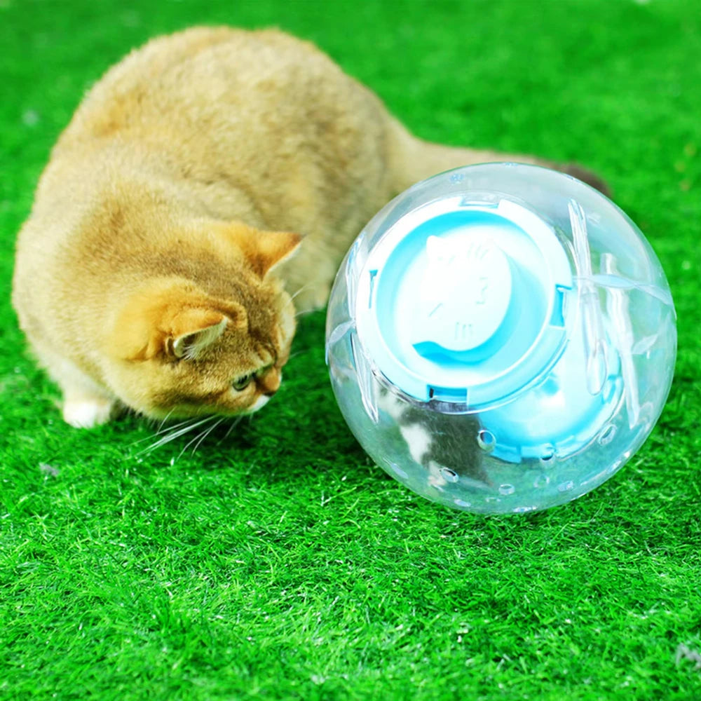 Plastic Outdoor Sport Ball Grounder for Rat Small Pet | Mice Jogging Ball Toy | Hamster Gerbil Exercise Ball Play Toy