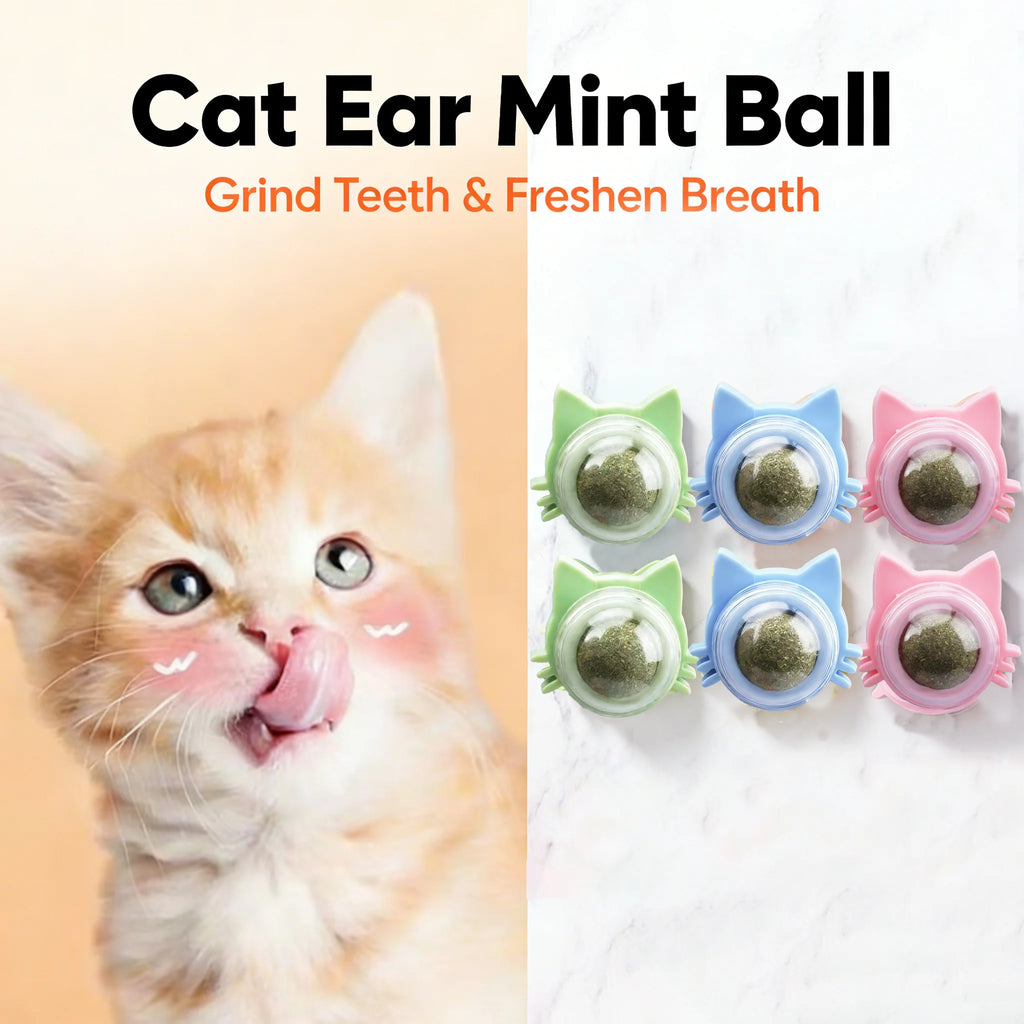 1 Pc Cat Mint Ball kittens's Safe Healthy Edible Toy Clean Mouth And Relieve Boredom
