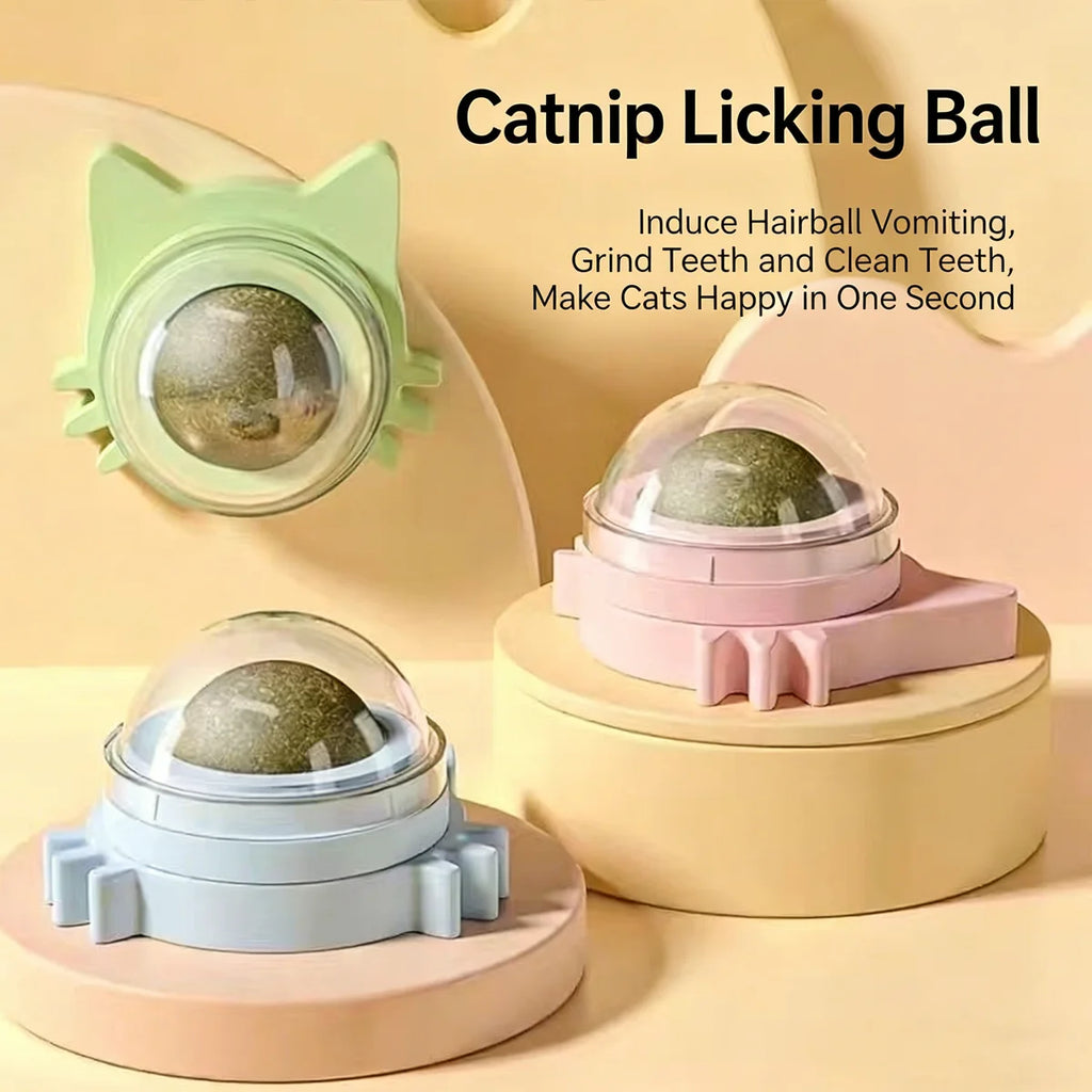 1 Pc Cat Mint Ball kittens's Safe Healthy Edible Toy Clean Mouth And Relieve Boredom