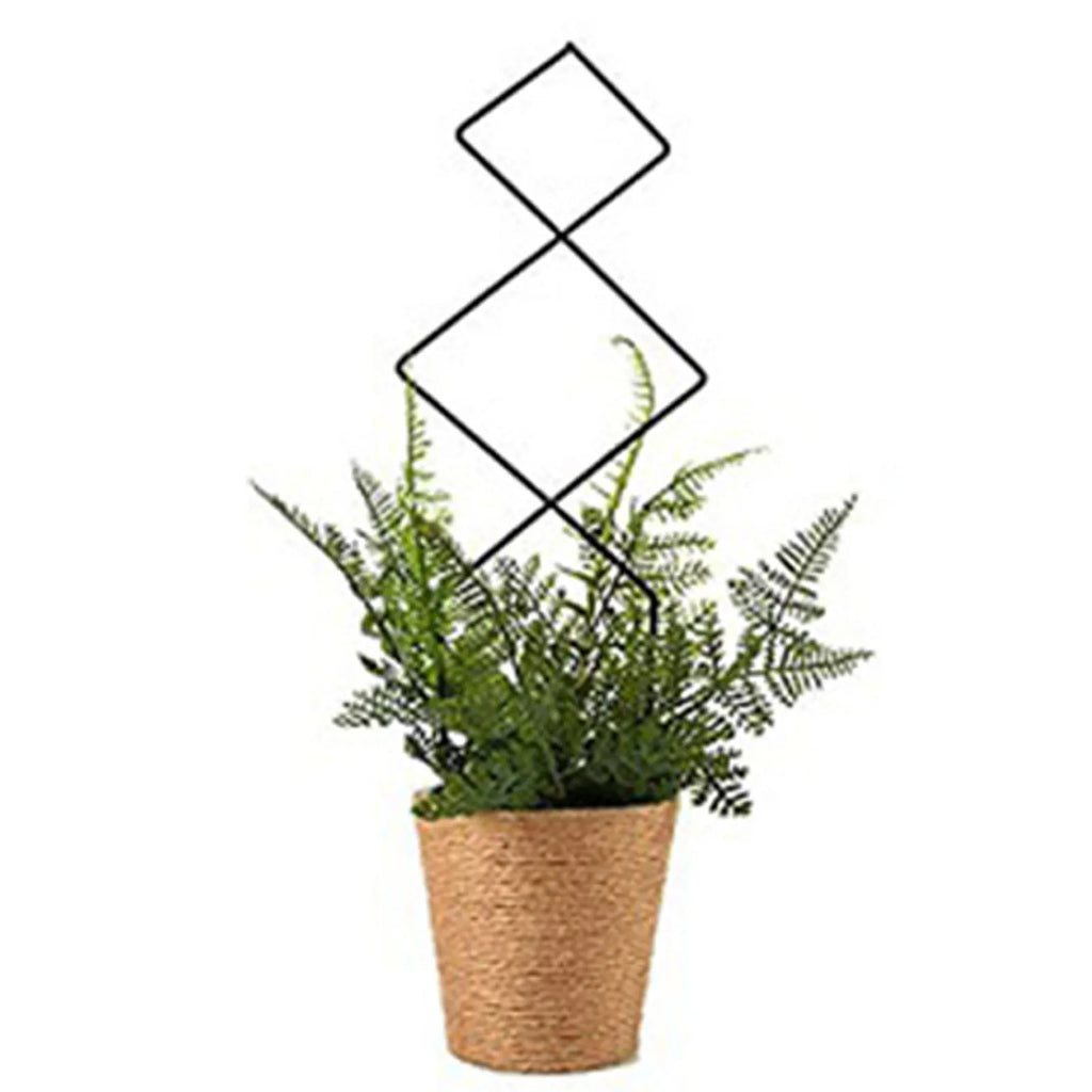 Climbing Plant Trellis Plant Support Garden Stake Stand Climbing Rack Iron Flower Trellis Frame Stand Holder Garden Decor