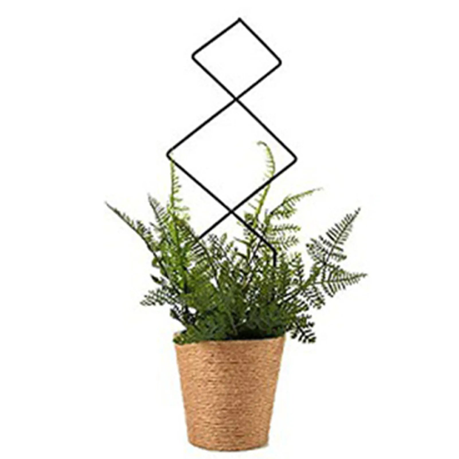 Climbing Plant Trellis Plant Support Garden Stake Stand Climbing Rack Iron Flower Trellis Frame Stand Holder Garden Decor