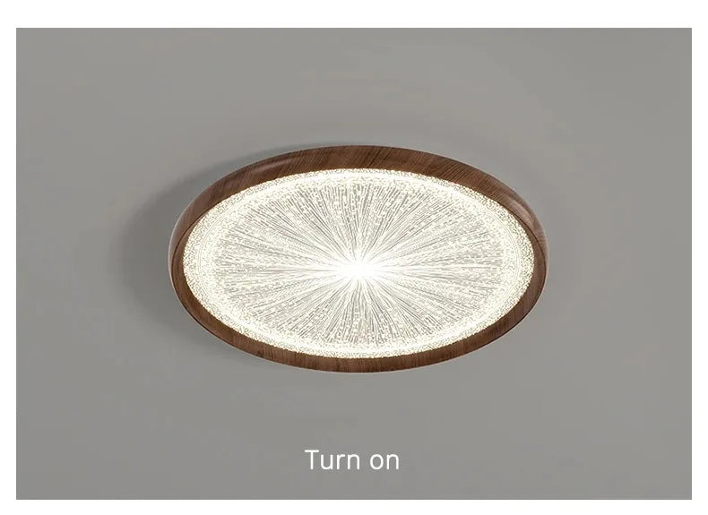 2026 New Modern LED Ceiling Lamp For Living Room Restaurant Round Lighting Fixture Bedroom Study Home Decor Firework Panel Lamp