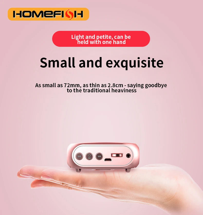 Portable speaker, voice and audio amplifier with microphone, tour guide, shopping mall hawking, teacher, teaching speaker, playe