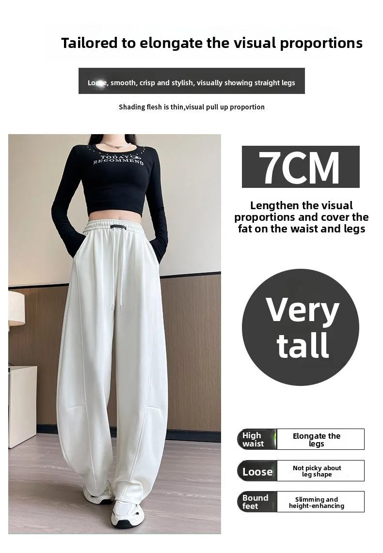 Loose Wide Leg Pants Women's High Waist Trousers Casual Sports Grey Curved Blade Long Length plus Size Comfortable Summer 2025