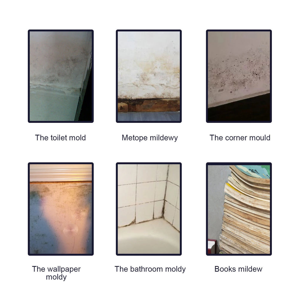 60ml Mould Cleaning Spray Wall Mold Remover Mold Cleaning Spray Bathroom Kitchen Cleaning Effective Mildew Removal Spray Cleaner