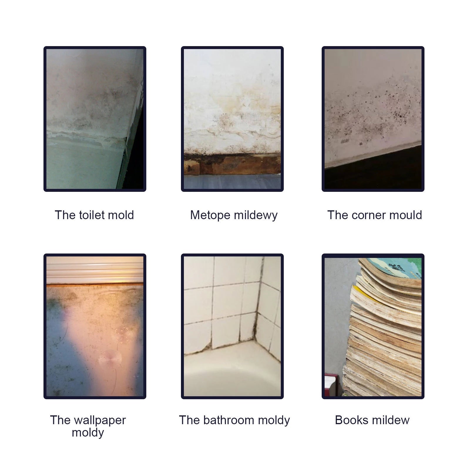 60ml Mould Cleaning Spray Wall Mold Remover Mold Cleaning Spray Bathroom Kitchen Cleaning Effective Mildew Removal Spray Cleaner