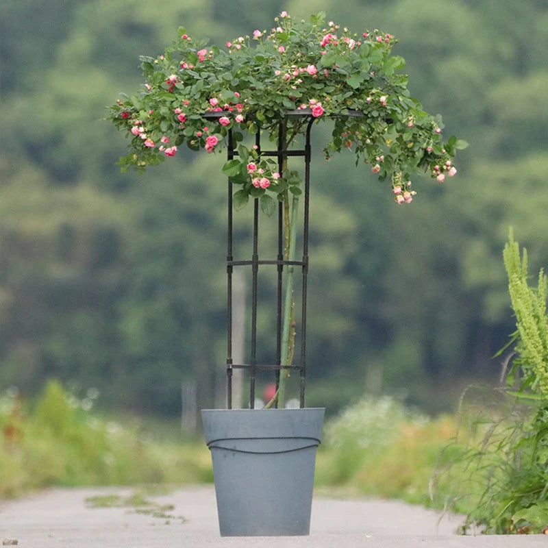 Garden Trellis Umbrella Tower Plant Trellis For Climbing Plants Trellis Support DIY Climbing Trellis Flower Pots Supports