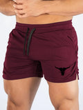 New Men's Swimming Trunks Quick-drying Breathable Beach Casual Shorts Sports Suits for Outdoor Running Fitness