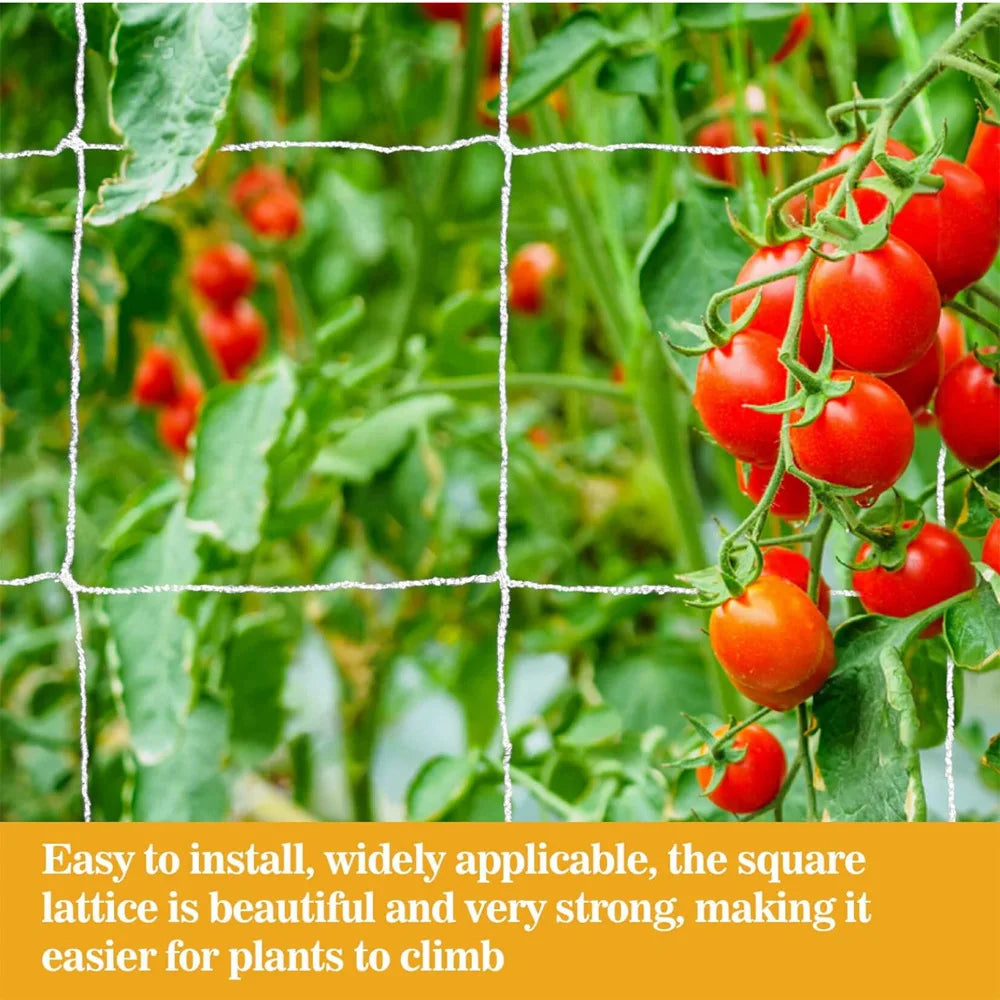 Garden Plant Trellis Netting Garden Square Mesh Netting for Climbing Plants Outdoor, Fruits, Vegetables, Vines, Grow Tents