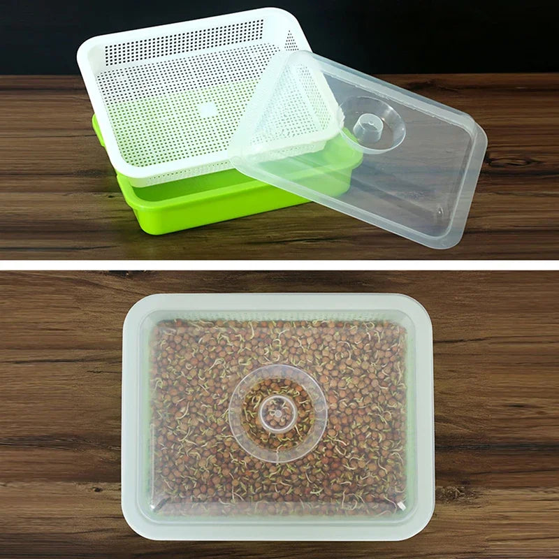 Garden Home Use Seed Sprouter Tray BPA Free PP Soilless Bean Sprout Grower Seedlings Germination Tray Sprouting Kit with Lid