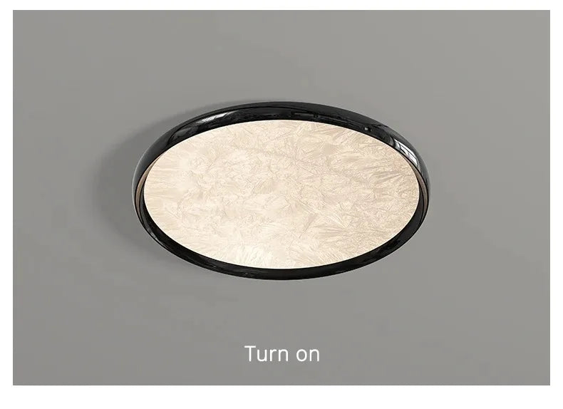 2026 New Modern LED Ceiling Lamp For Living Room Restaurant Round Lighting Fixture Bedroom Study Home Decor Firework Panel Lamp