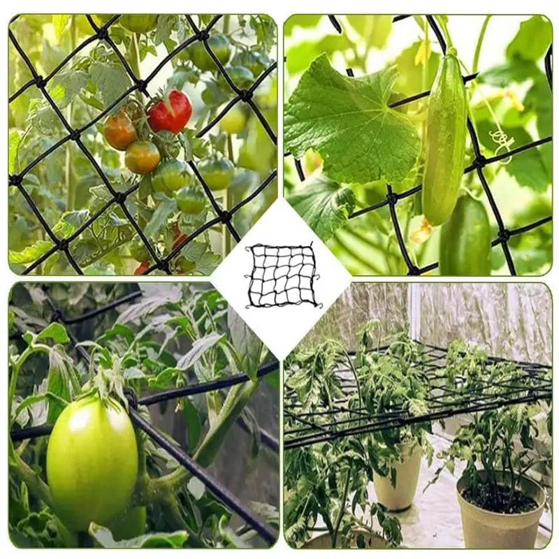 Trellis Net for Grow Tent Elastic Hydroponics Support Plant Net with Hooks Growing Net 44 Inch Grid Heavy-Duty Construction