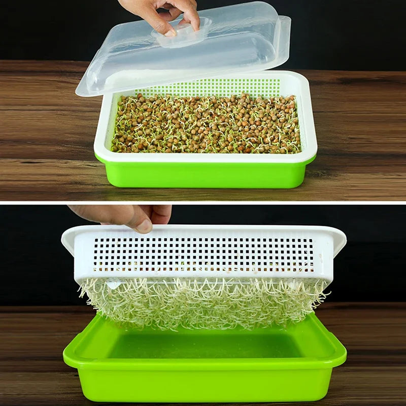 Garden Home Use Seed Sprouter Tray BPA Free PP Soilless Bean Sprout Grower Seedlings Germination Tray Sprouting Kit with Lid