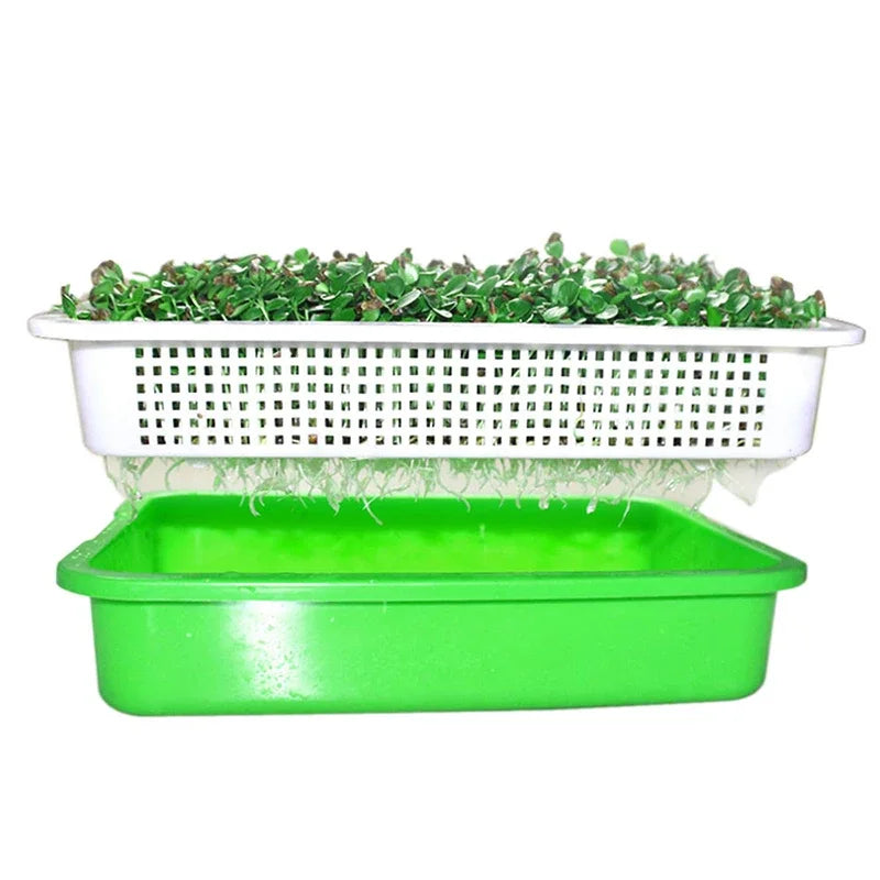 Garden Home Use Seed Sprouter Tray BPA Free PP Soilless Bean Sprout Grower Seedlings Germination Tray Sprouting Kit with Lid