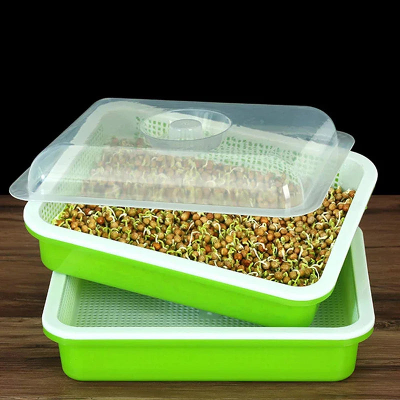 Garden Home Use Seed Sprouter Tray BPA Free PP Soilless Bean Sprout Grower Seedlings Germination Tray Sprouting Kit with Lid