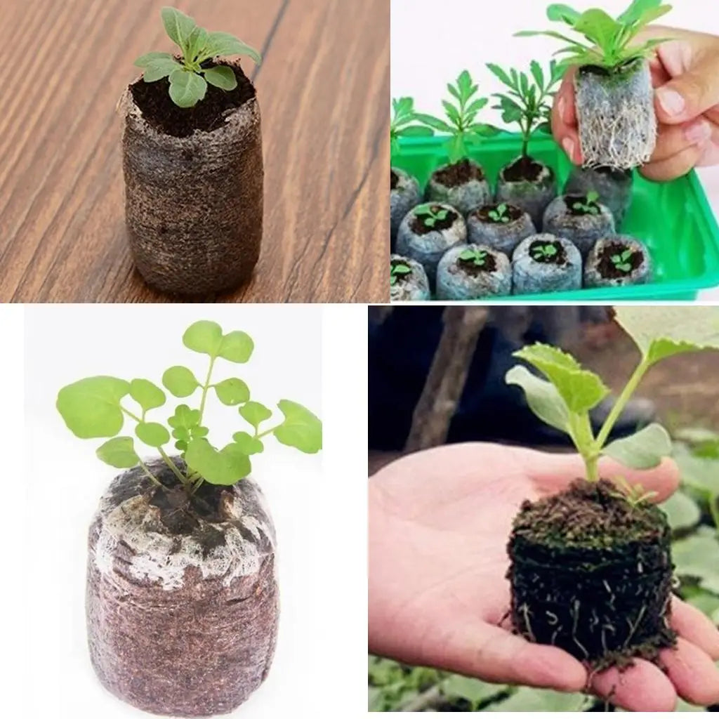 10 Pieces Seed Starting Plugs Pallet, Seedling Soil Block, Seed Fertilizer Plant Starter Pellets, Seedling Soil Blocks