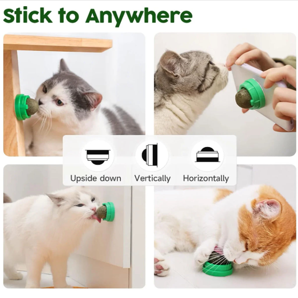 1 Pc Cat Mint Ball kittens's Safe Healthy Edible Toy Clean Mouth And Relieve Boredom