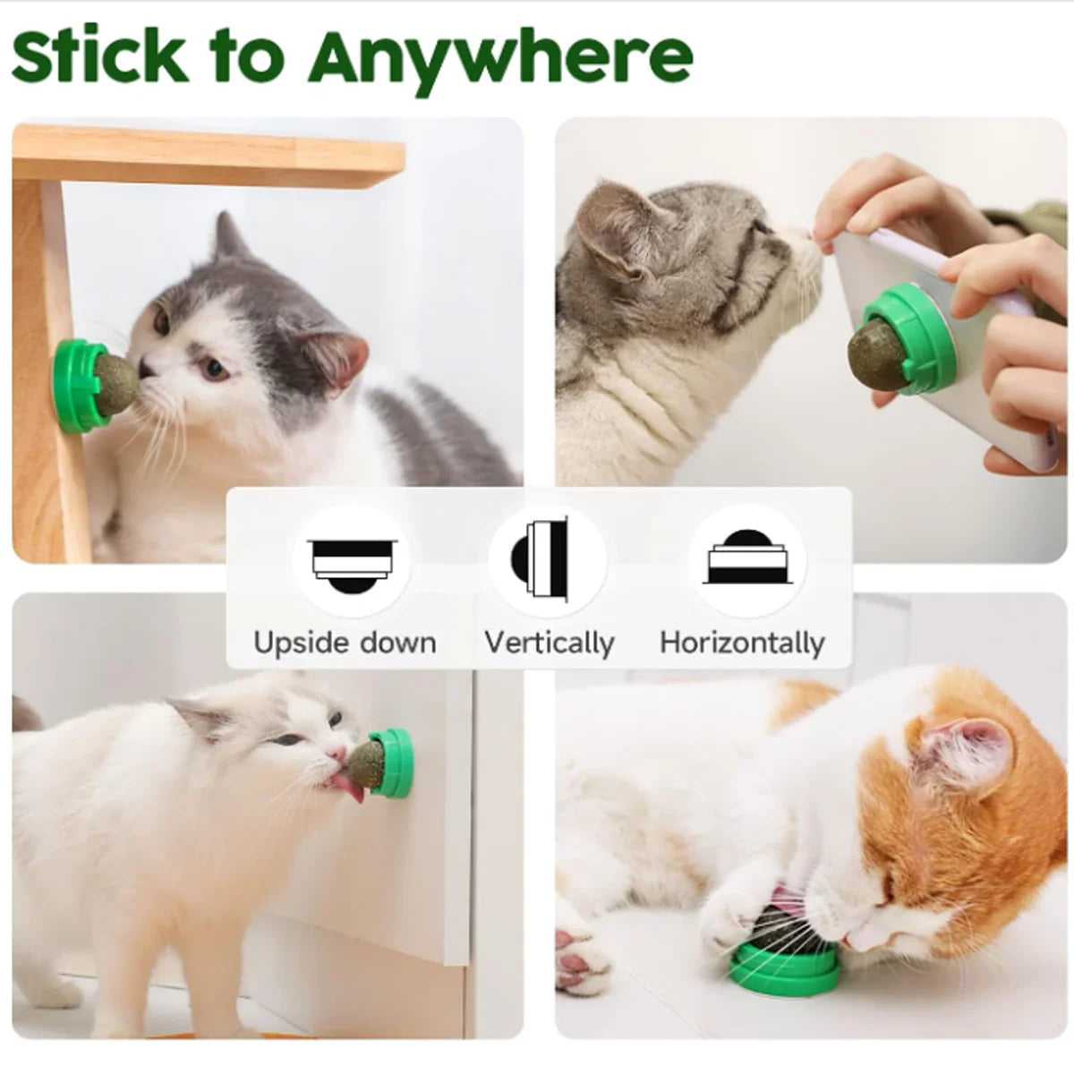 1 Pc Cat Mint Ball kittens's Safe Healthy Edible Toy Clean Mouth And Relieve Boredom