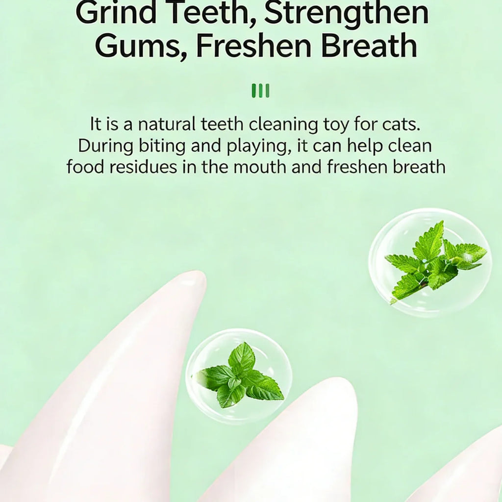 1 Pc Cat Mint Ball kittens's Safe Healthy Edible Toy Clean Mouth And Relieve Boredom