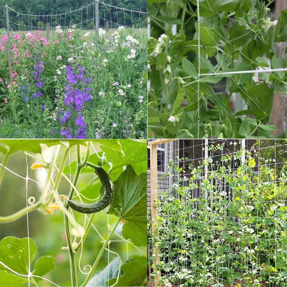 Garden Plant Trellis Netting Garden Square Mesh Netting for Climbing Plants Outdoor, Fruits, Vegetables, Vines, Grow Tents