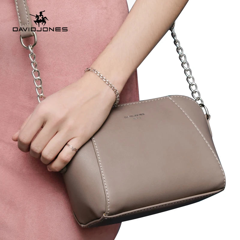 David Jones Handbags for Women 2024 Designer Luxury Ladies Fashion Crossbody Bags Casual Shoulder Bag Soft PU Leather Clutch