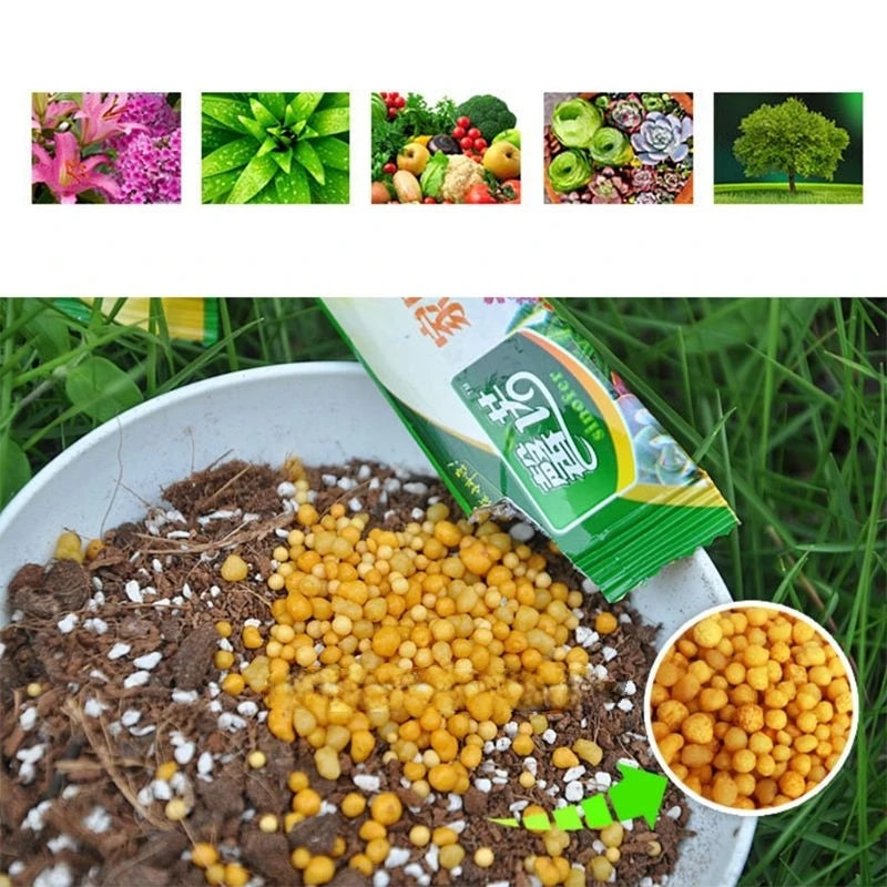 10g Gardening Granular Controlled-release Fertilizer All-purpose Slow-release Plant Food For Potted Plants & Horticultural Use