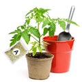Garden Fertilizer A+B Hydroponic Plant Concentrated Easy to Use Promote Absorption Efficiency for Vegetables Flowers Grass