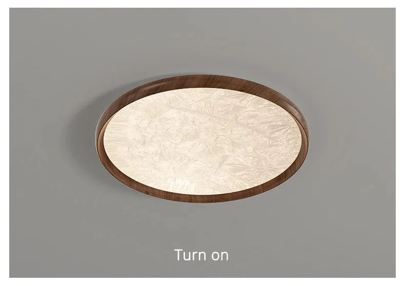 2026 New Modern LED Ceiling Lamp For Living Room Restaurant Round Lighting Fixture Bedroom Study Home Decor Firework Panel Lamp