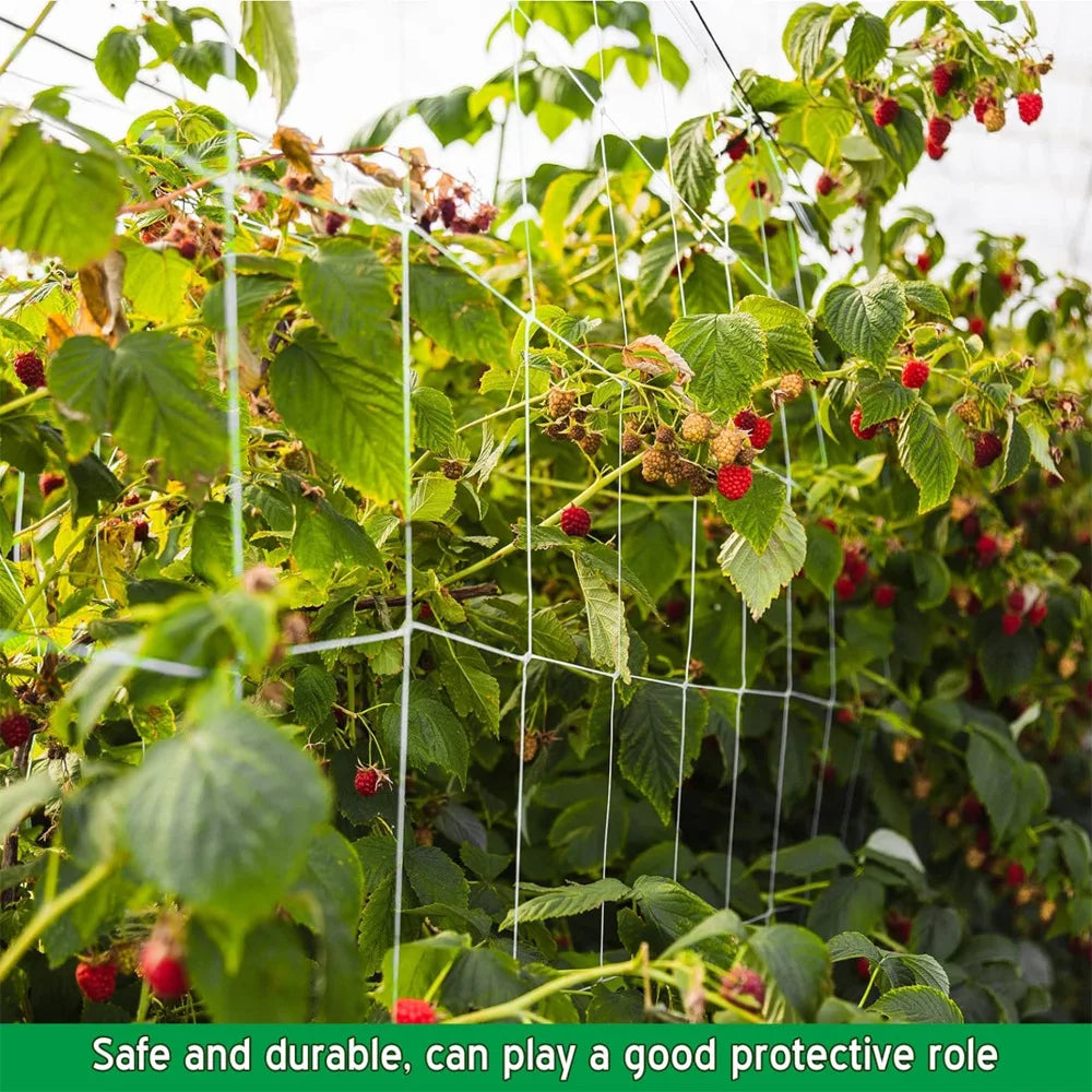 Garden Plant Trellis Netting Garden Square Mesh Netting for Climbing Plants Outdoor, Fruits, Vegetables, Vines, Grow Tents