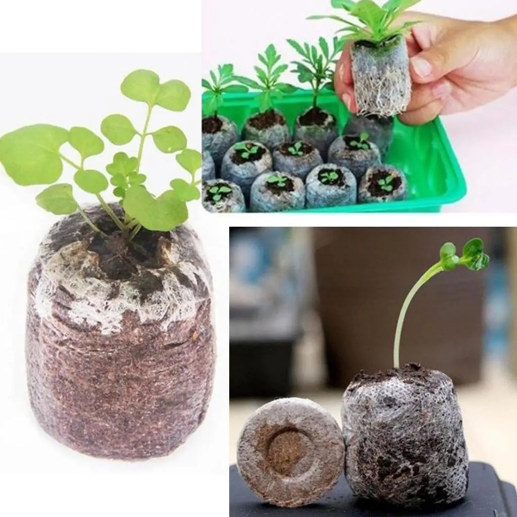 10 Pieces Seed Starting Plugs Pallet, Seedling Soil Block, Seed Fertilizer Plant Starter Pellets, Seedling Soil Blocks