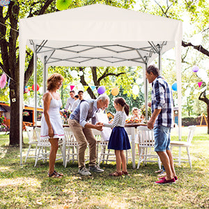 LZBEITEM 10' x 20' Pop Up Canopy Tent with 6 Removable Sidewalls & Carry Bag, Waterproof Anti-UV Party Wedding Tents Gazebo
